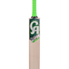 CA PLUS 12000 CRICKET BAT
