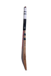 Gray Nicolls Oblivion Kashmir Willow Cricket Bat