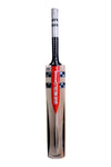 Gray Nicolls Oblivion Kashmir Willow Cricket Bat