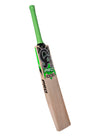 CA PRO 1000 EW CRICKET BAT