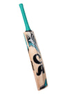 CA PRO 2000 EW CRICKET BAT