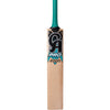 CA PRO 2000 EW CRICKET BAT