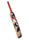CA PRO 3000 EW CRICKET BAT