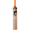 CA PRO 5000 EW CRICKET BAT
