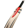Gray Nicolls Oblivion Kashmir Willow Cricket Bat