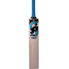 CA PRO 7000 EW CRICKET BAT