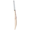 SG SUNNY TONNY ARC 4.0 EW CRICKET BAT
