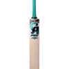 CA PRO 10000 CRICKET BAT
