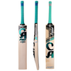 CA PRO 10000 CRICKET BAT