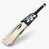 DSC BLAK 111 EW Cricket Bat