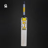 VISION 10000 CRICKET