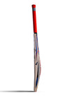 CA PLUS 5000 CRICKET BAT
