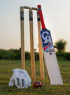 CA PLUS 5000 CRICKET BAT