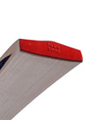 CA PLUS 5000 CRICKET BAT