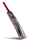 CA PLUS 5000 CRICKET BAT
