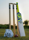 CA PLUS 3000 CRICKET BAT