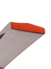 CA PLUS 2000 CRICKET BAT