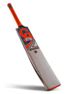 CA PLUS 2000 CRICKET BAT