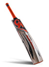CA PLUS 2000 CRICKET BAT