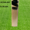 MB MALIK UMZ CRICKET BAT - GREEN EDITION (THREE STAR)