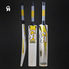 VISION 10000 CRICKET