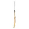 SG RSD SELECT ENGLISH WILLOW CRICKET BAT