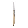 SG HP ICON ENGLISH WILLOW CRICKET BAT