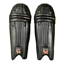  CA PLUS 2000 BATTING LEG GUARDS - AMBIDEXTROUS (BLACK)