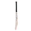 SS TON SILVER EDITION EW CRICKET BAT- SH