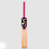 SG NEXUS PLUS KASHMIR WILLOW CRICKET BAT