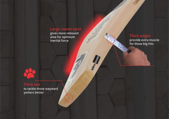 SG XTREME COBRA EW CRICKET BAT