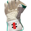 GRAY-NICOLLS GN6 ELITE WICKET KEEPING GLOVES