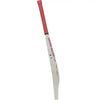 SS SKY SMASHER KASHMIR WILLOW CRICKET BAT