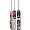 SS MASTER KASHMIR WILLOW CRICKET BAT