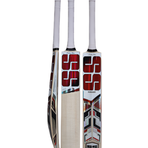 SS MASTER KASHMIR WILLOW CRICKET BAT