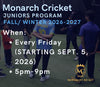 YOUTH CRICKET PROGRAMS