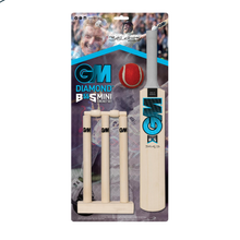  GM MINI CRICKET SET