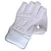 SF.TEST WICKET KEEPING GLOVES