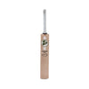SG SUNNY TONNY GOLD ICON EW CRICKET BAT