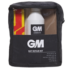  GM BAT REPAIR KIT