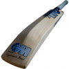 GM MAXI DXM EW CRICKET BAT