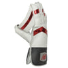 NB TC 860 Cricket Wicket Keeping Gloves