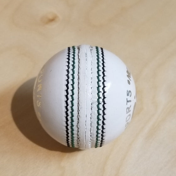 CA INDOOR LEATHER BALL - WHITE