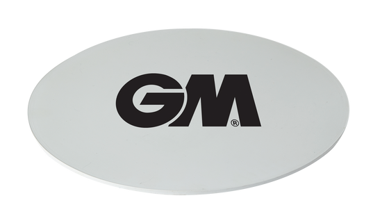 GM FIELDING DISCS (SET OF 30)