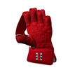 GRAY-NICOLLS LIMITED EDITION KEEPING GLOVES